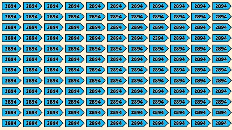 Optical Illusion Puzzle IQ Test- Can You Spot 2394 Among 2894 In Just 9 Seconds?