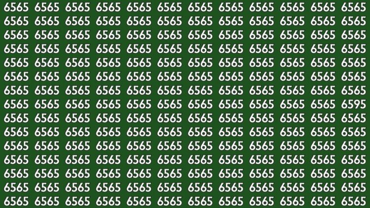 Optical Illusion Test – Spot The Number 6595 Hidden Among 6565s In 9 Seconds